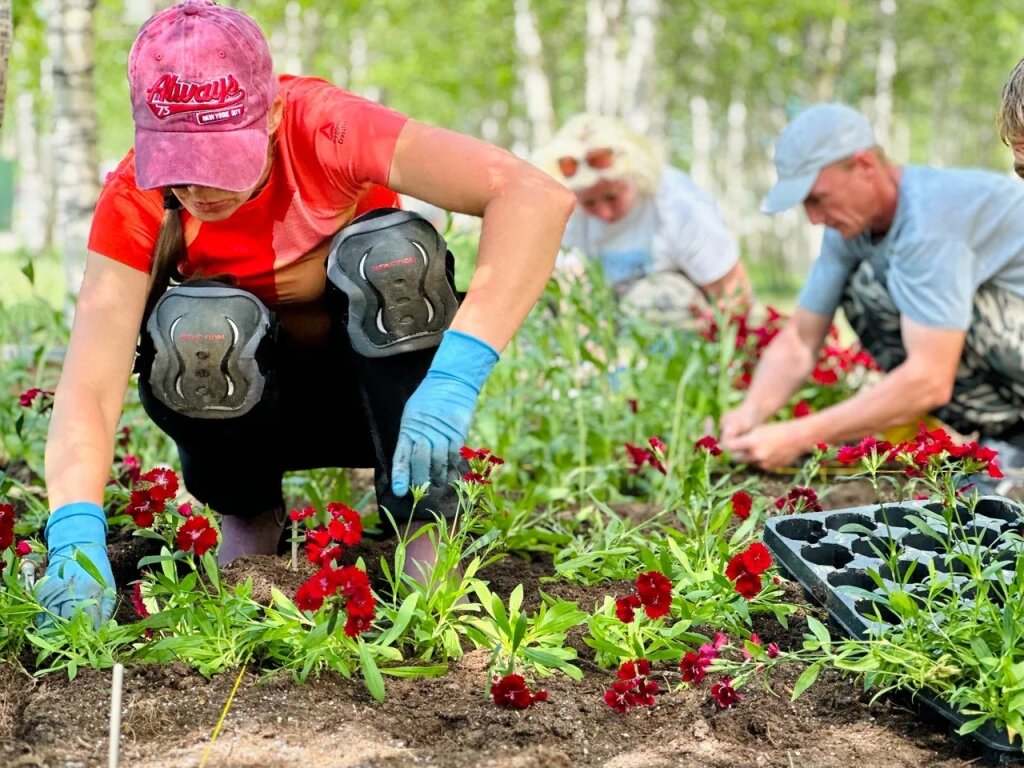 Муравленковцы могут оценить работы по озеленению города