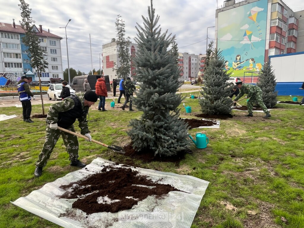 В сквере Воинской Доблести высадили ели и рябины