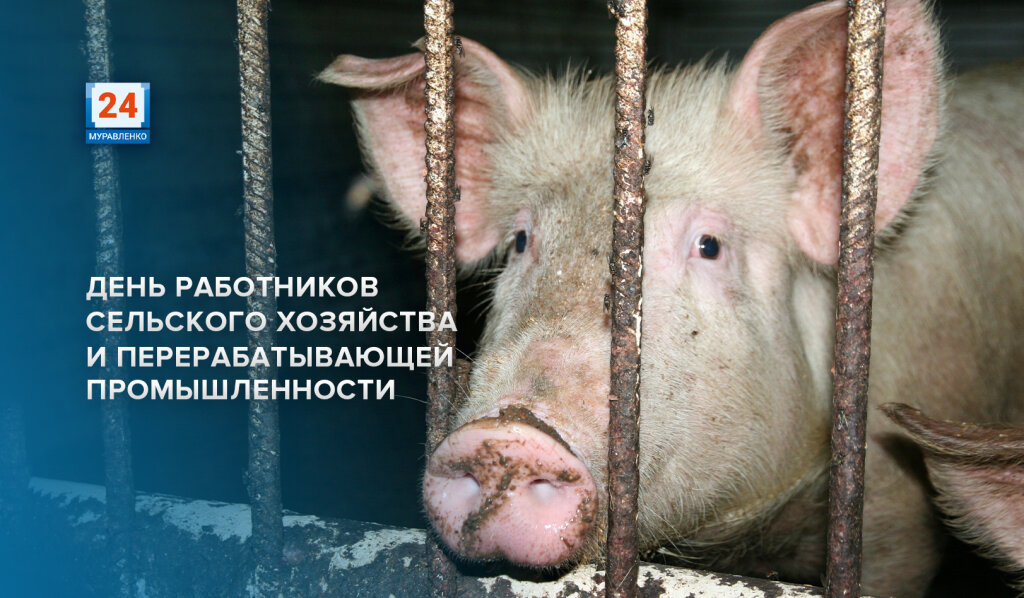 День работника сельского хозяйства и перерабатывающей промышленности