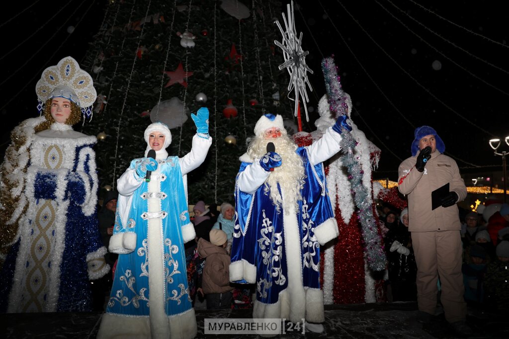 На главной новогодней ёлке города зажгли огни