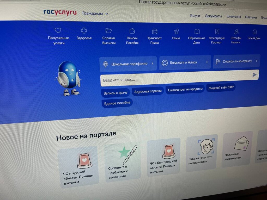 На «Госуслугах» появились новые инструменты для родителей