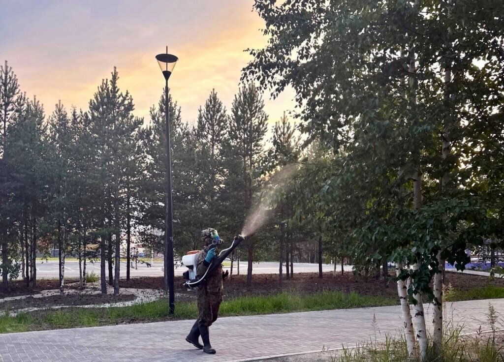 Началась обработка городских территорий от насекомых