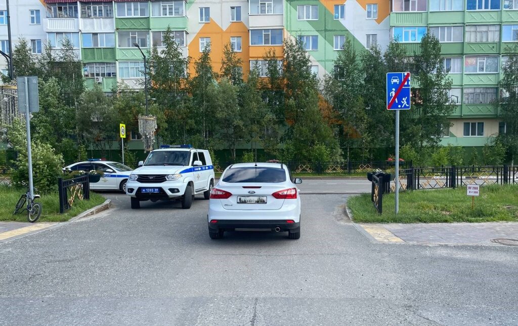 Госавтоинспекция призывает водителей и пешеходов к осторожности на дорогах