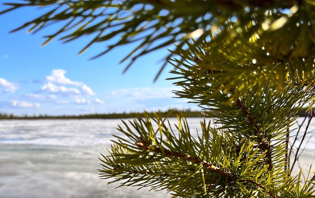 Более 120 студентов пройдут практику по изучению мерзлоты на Ямале