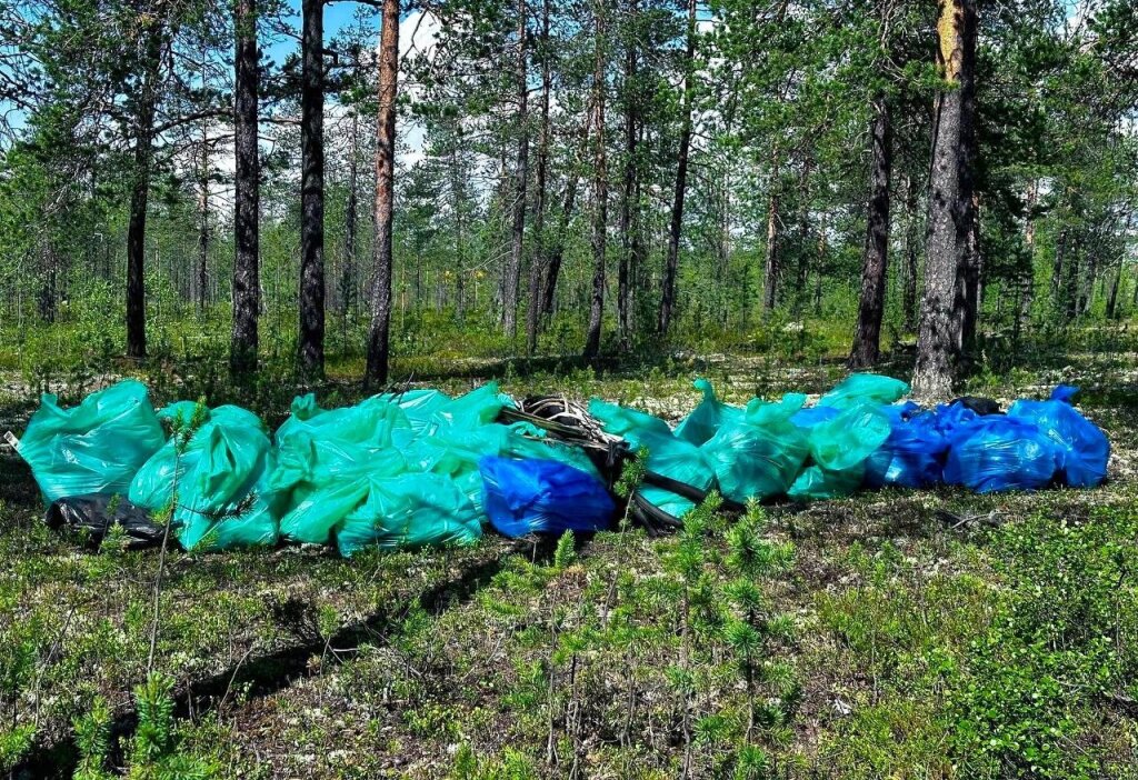 Муравленковцы могут сообщить об экологических нарушениях через телеграм-бот