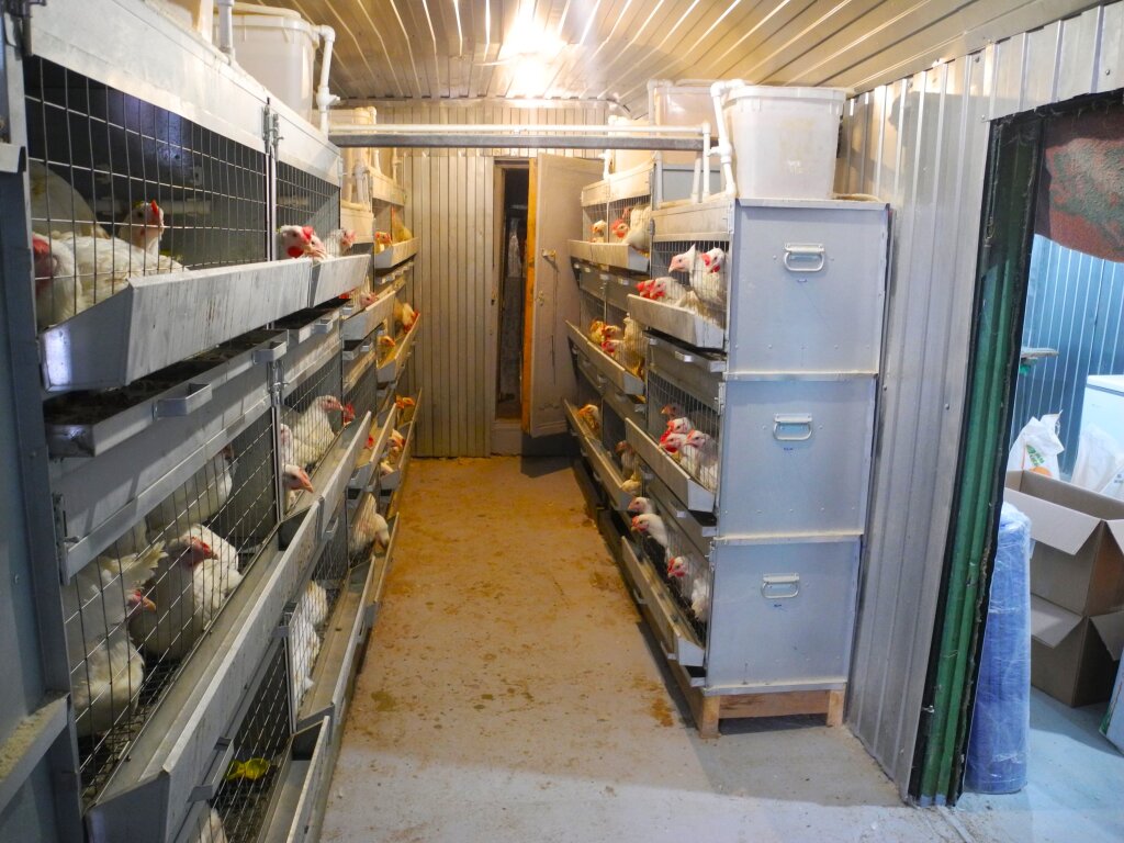 Изменен порядок предоставления субсидий предприятиям АПК Ямала