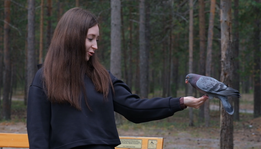 Как и чем подкармливать белок и птиц?