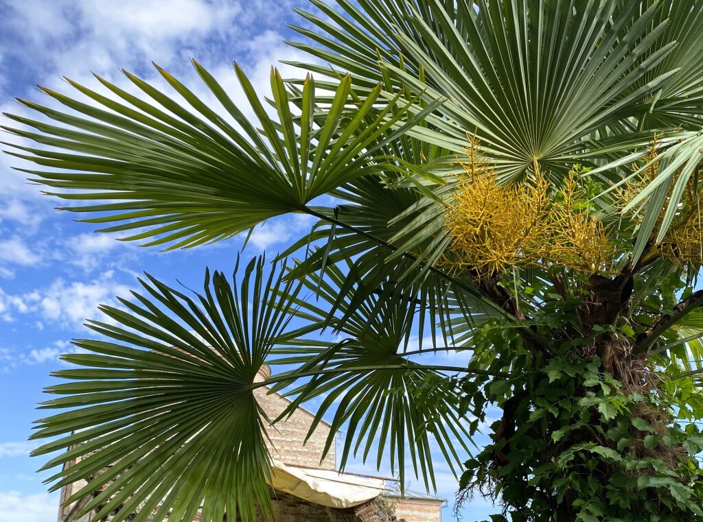 Центр «Ямалия» в Крыму унаследует лучшие традиции ямальских детских лагерей