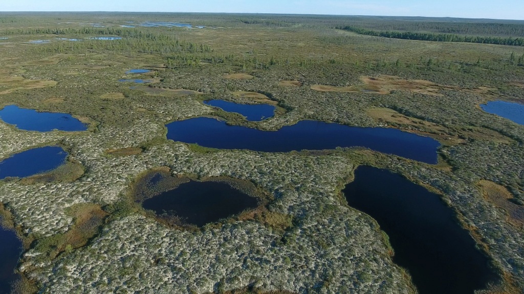 На Ямале разработали сервис для усиления экологического контроля