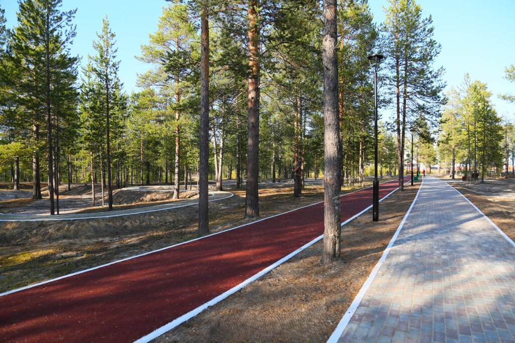 На Ямале развивают инфраструктуру для велосипедистов