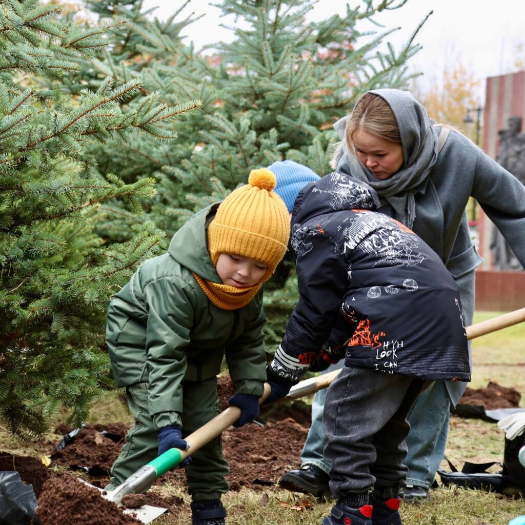 На Аллее Славы высадили деревья в память об участниках СВО