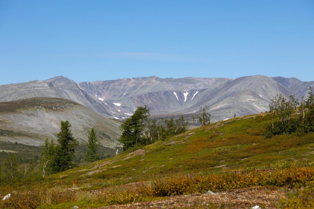 Авторы фильмов о путешествии на Ямал могут выиграть до 4 миллионов рублей