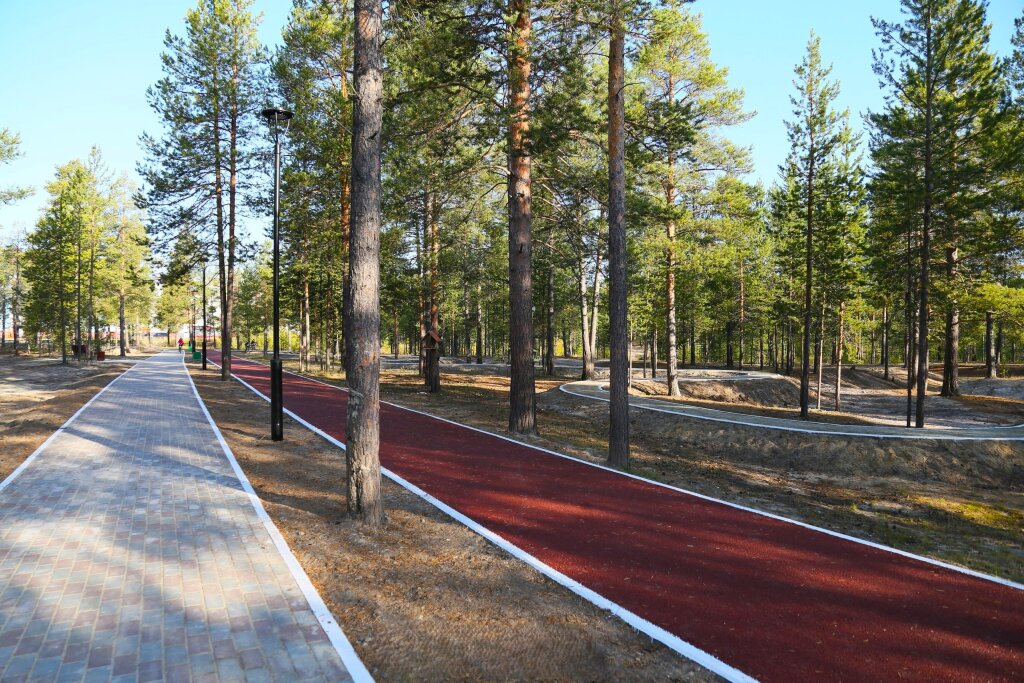 Муравленковцы могут присоединиться к обсуждению развития велосипедной инфраструктуры