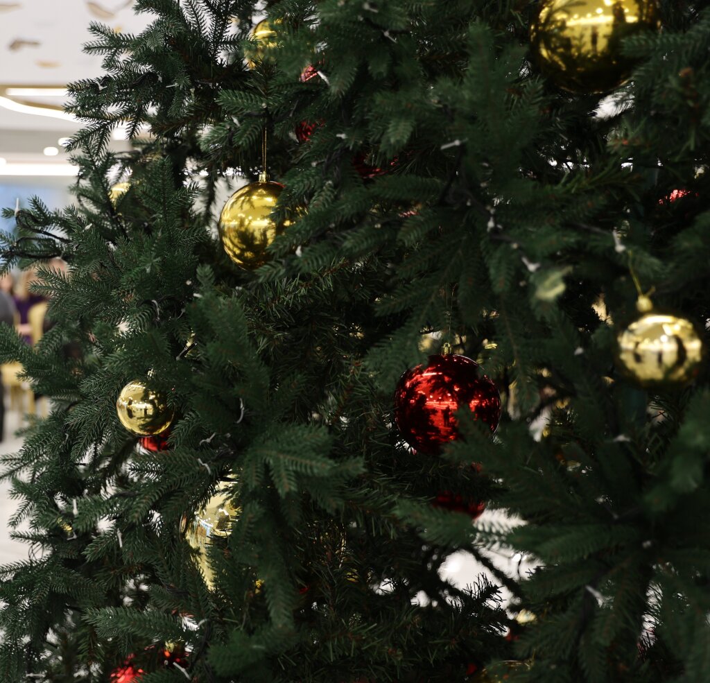 Стартовала заявочная кампания на губернаторскую елку