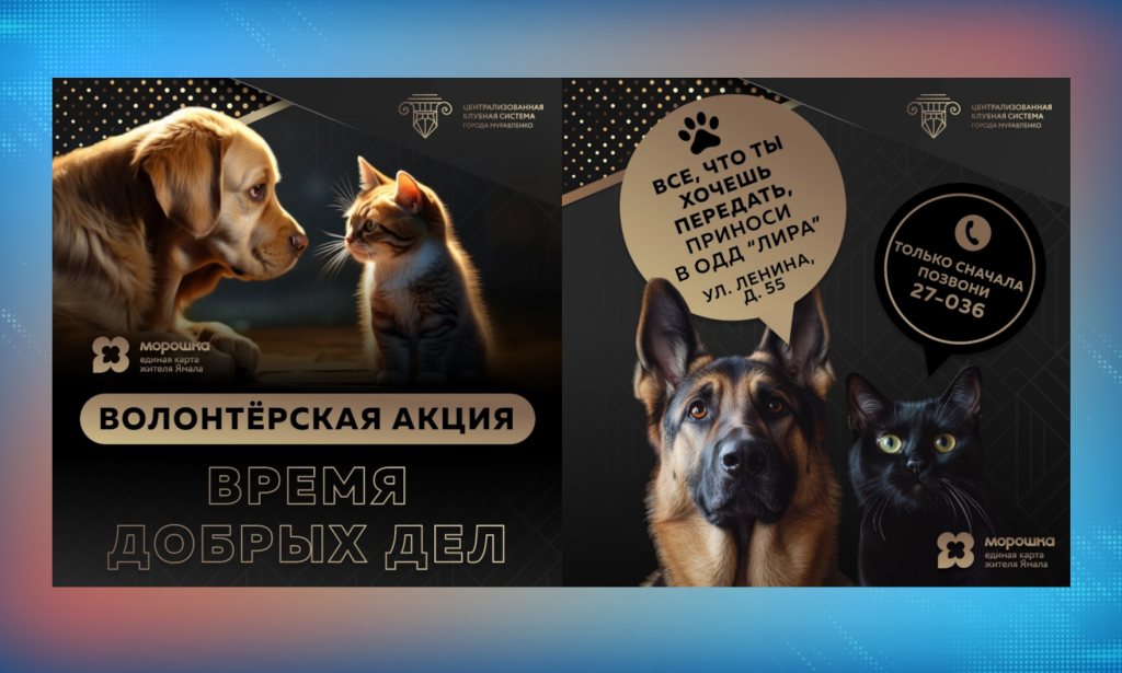 В городе проходит волонтерская акция «Протяни руку лапе»