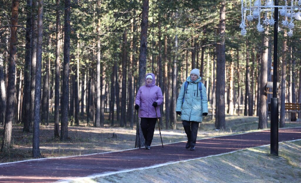 Социальную доплату к пенсии передадут в ведение Соцфонда