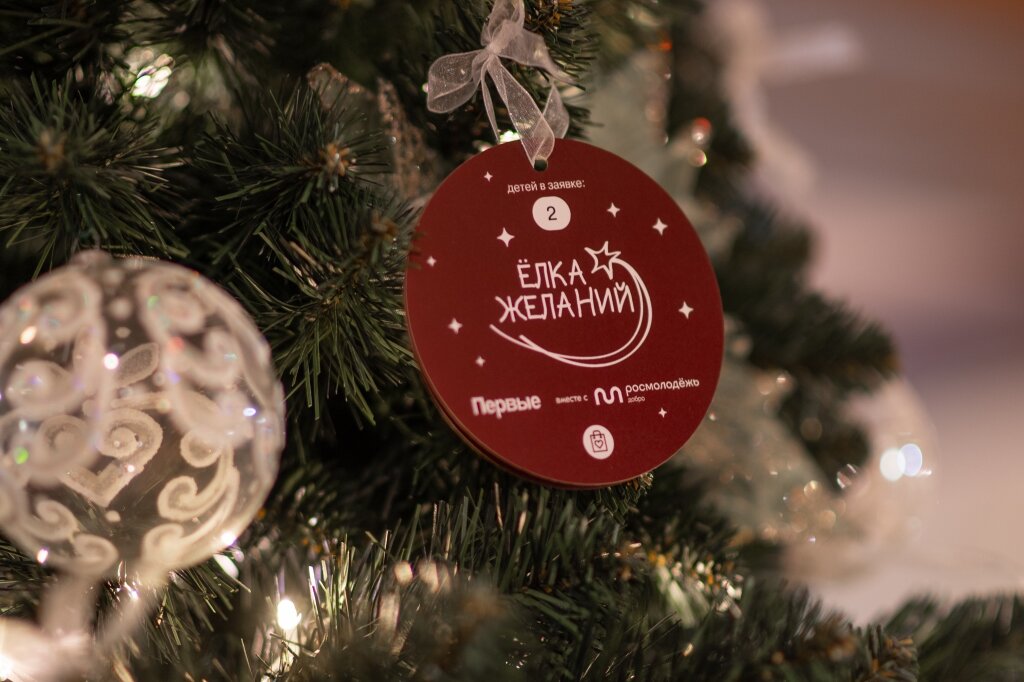 Стартовал новый сезон Всероссийского проекта «Ёлка желаний»