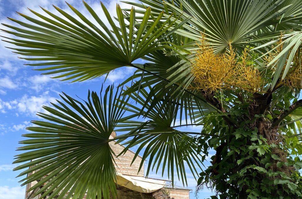 Более 50 многодетных семей воспользовались компенсацией за отдых