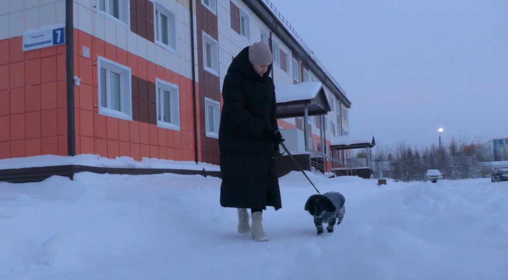 Муравленковские врачи спасли дальнобойщика и его собаку