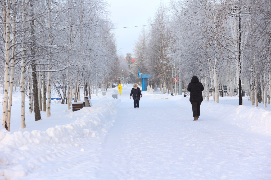 С 1 января на Ямале вводятся новые правила признания семей малоимущими