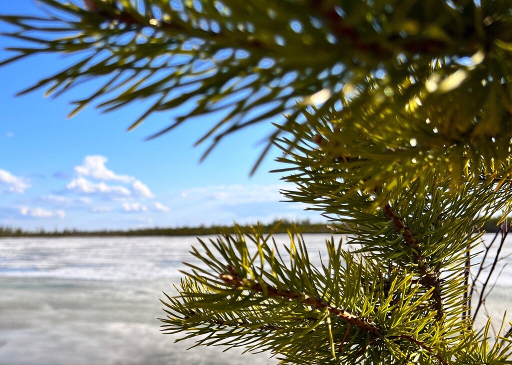 Названы лауреаты премии за вклад в мерзлотоведение, строительство и архитектуру