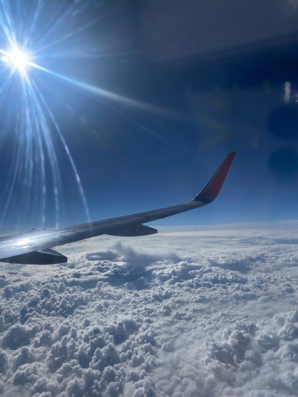 С 1 марта изменятся правила авиаперелётов