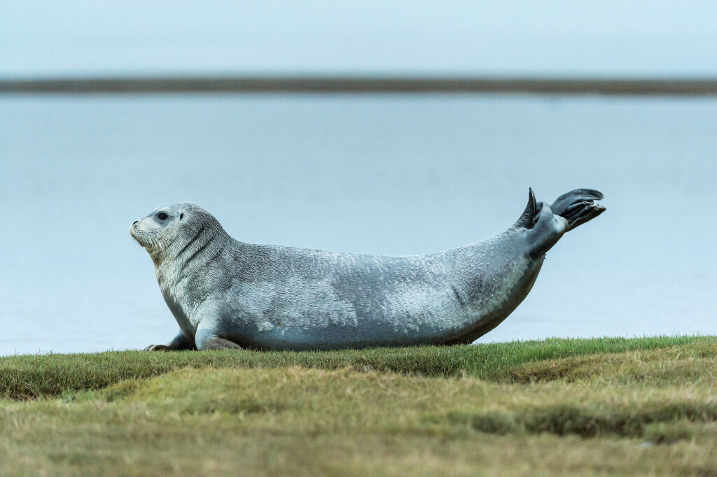 На Ямале готовят к выпуску масштабный фотоальбом