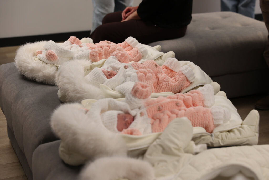 Цифровой сервис на Ямале уже зарегистрировал более 14 тысяч детей