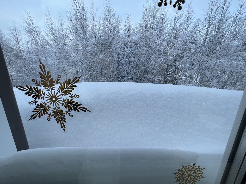 Морозный марафон января