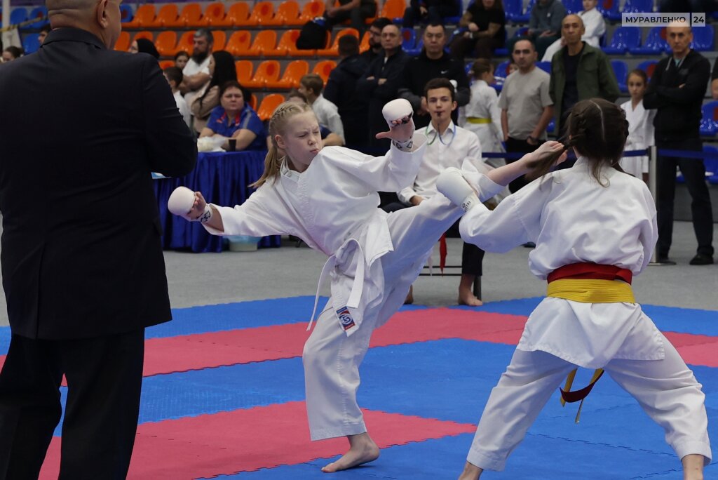 В городе пройдет окружной турнир по восточному боевому единоборству