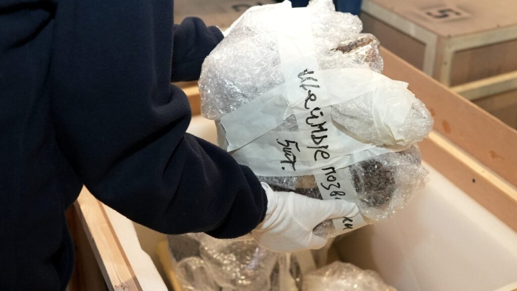 Уникальный палеонтологический экспонат вернулся на Ямал