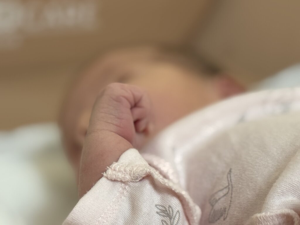 В Муравленко выдали ямальский маткапитал первой семье из ДНР