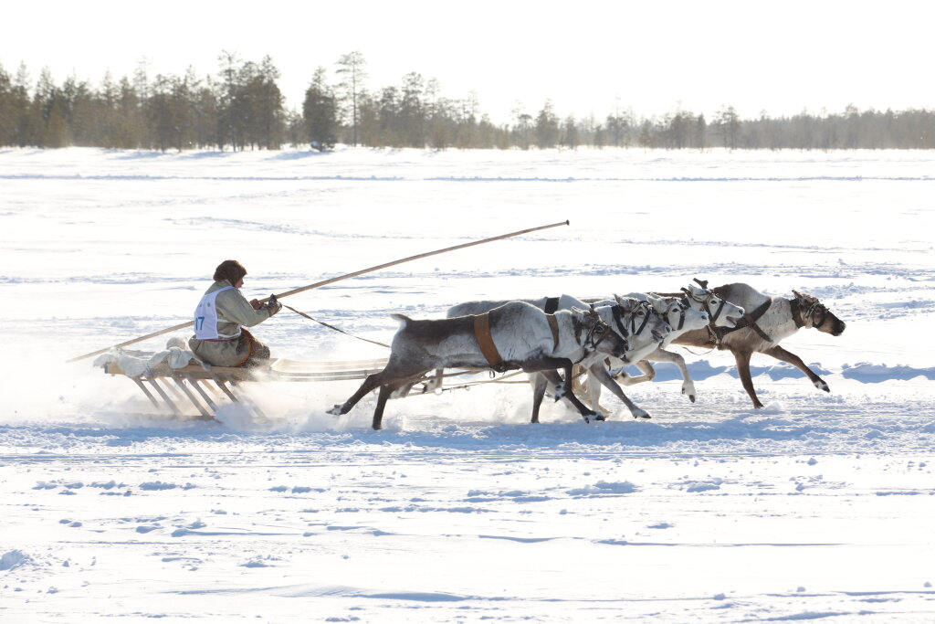 В Муравленко прошли гонки с национальным колоритом