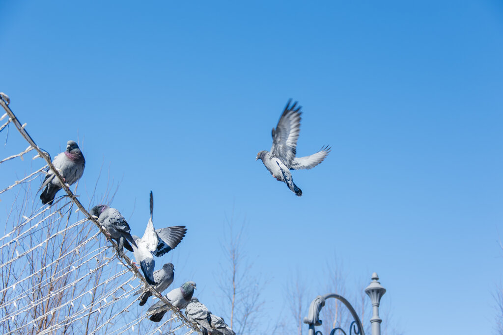 На Ямале ожидается сильный ветер и гололёд