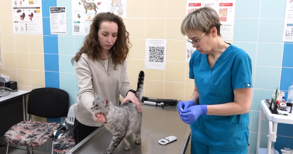 В отпуск с животным: что нужно знать?