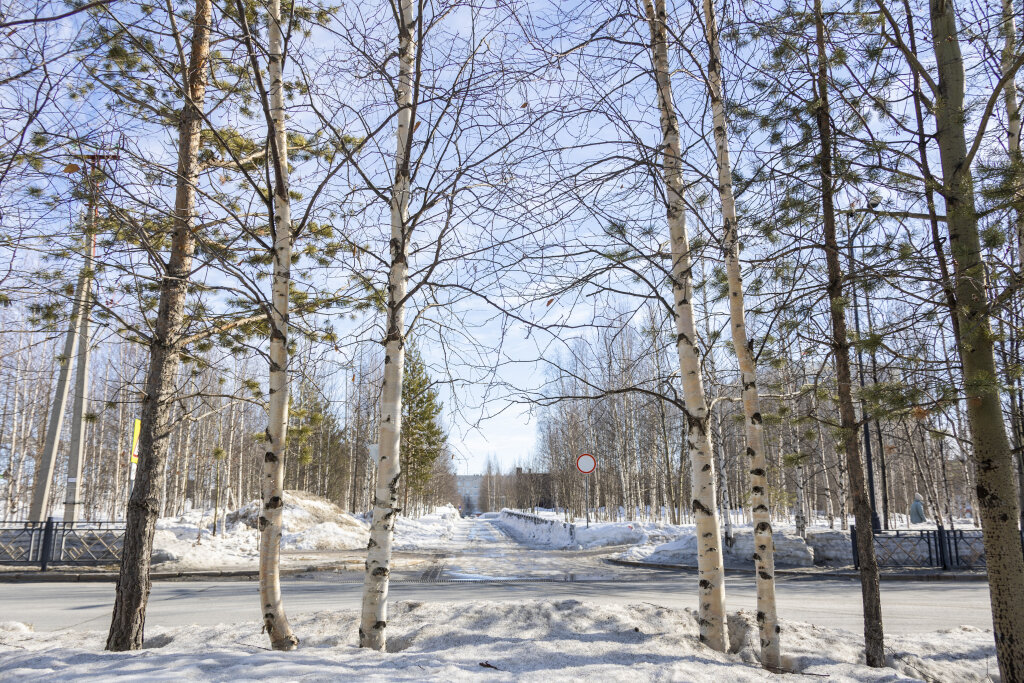 Синоптики обещают тёплый апрель в Муравленко