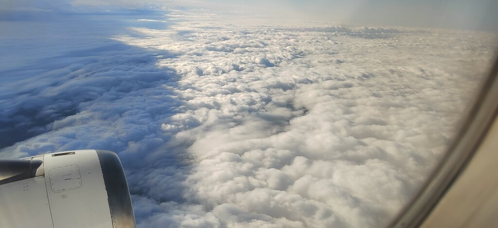 Свыше 420 тысяч пассажиров перевезли авиакомпании на Ямале с начала года