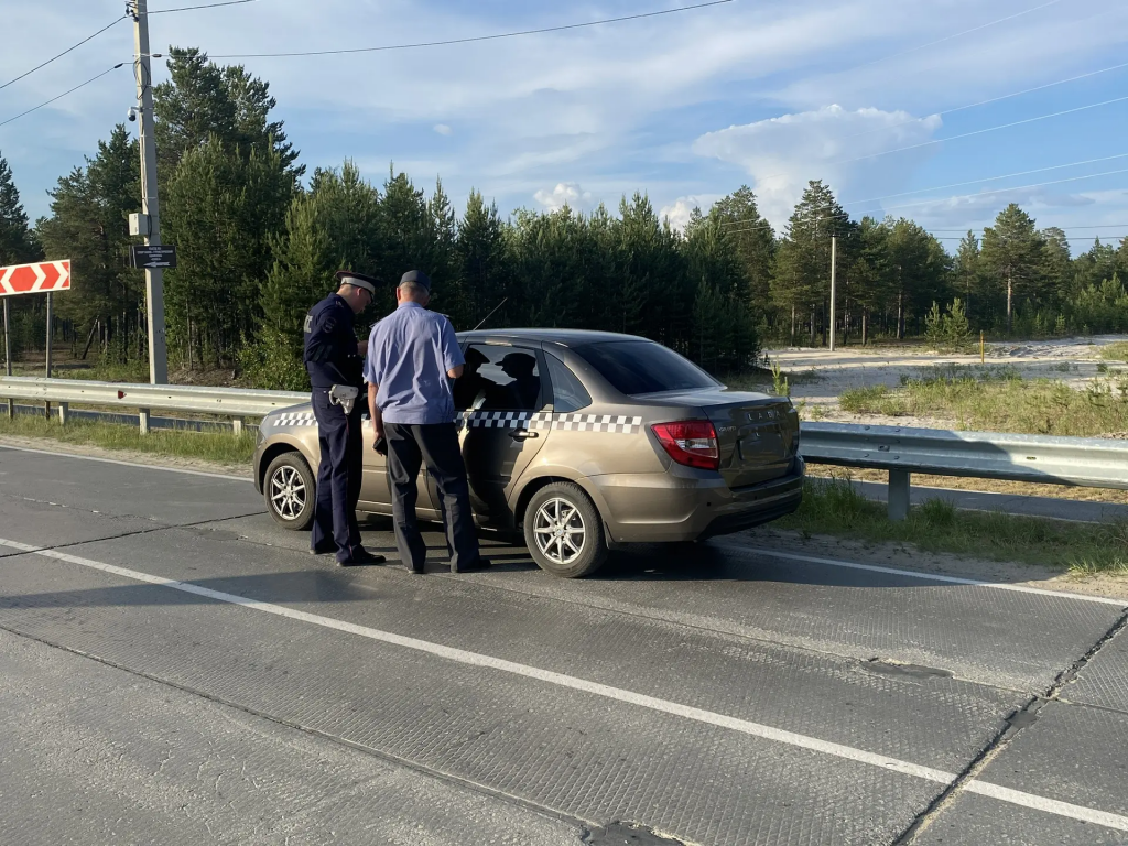 Автоинспекторы провели «Сплошную проверку»