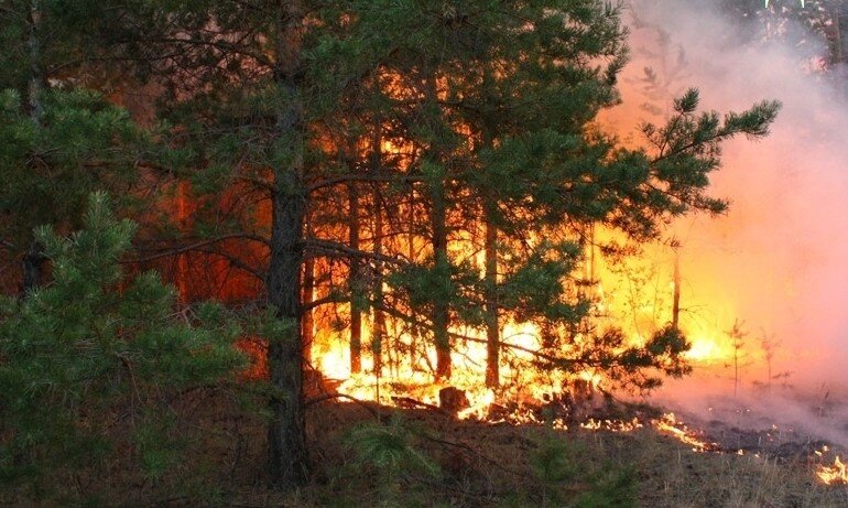 Пожароопасный сезон действует до сентября