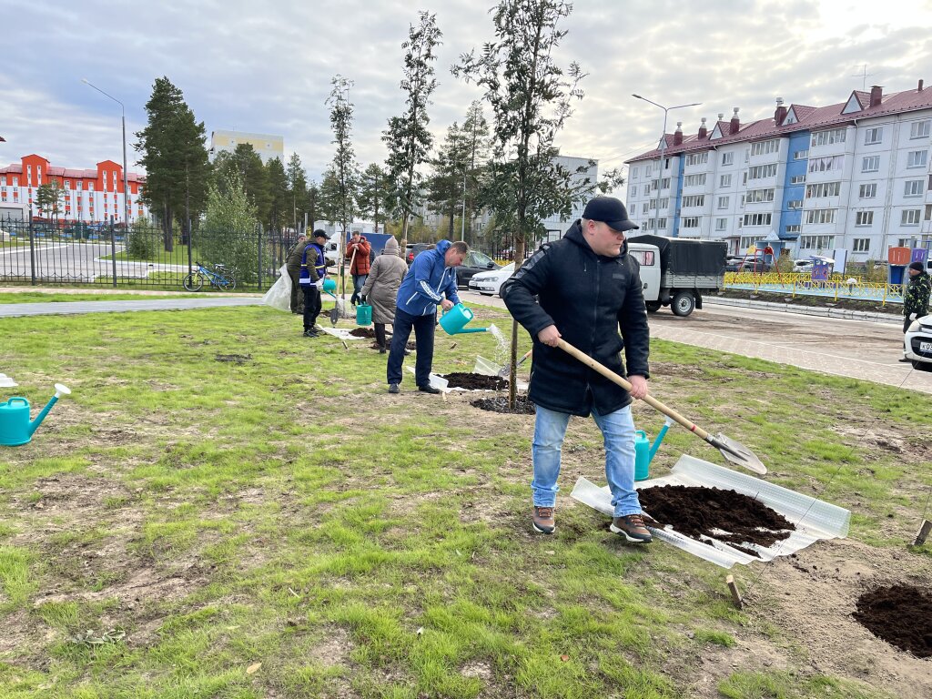 Муравленковцев спрашивают, какую улицу озеленить в первую очередь